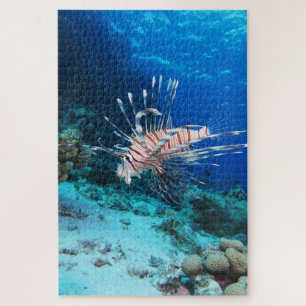 Puzzle Miles de poissons-lions ou de ptérois, poissons de