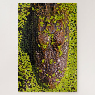 Puzzle Mille morceaux plus d'alligator