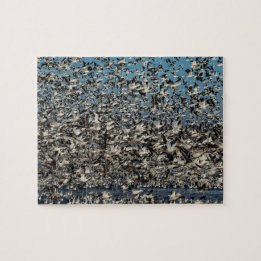 Puzzle Milliers d'oies de neige