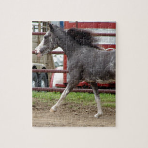 Puzzle Mini Horse en classe Liberty