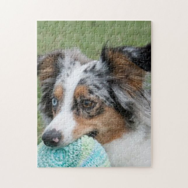 Puzzle Miniature américaine Sepherd Blue Merle (Vertical)