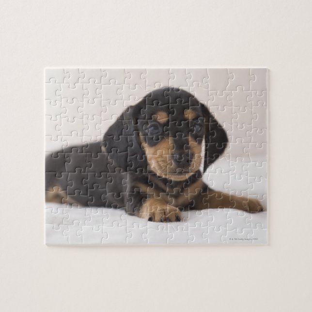 Puzzle Miniature Dachshund (Horizontal)