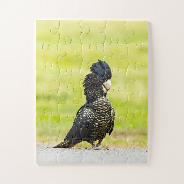 Puzzle Mischievous Black Cockatoo Portrait (Vertical)