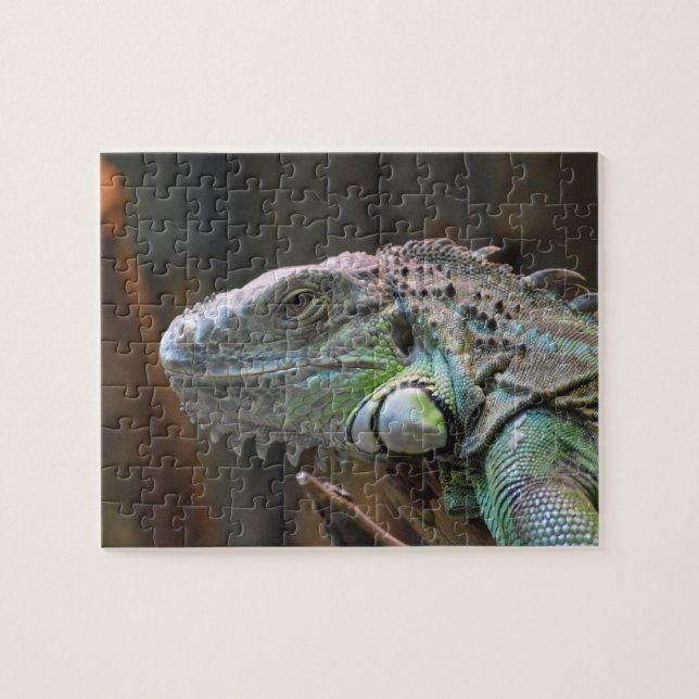 Puzzle mit dem Kopf der farbenfrohen Iguana-Eidech (Horizontal)