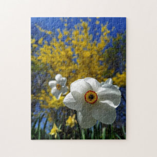 Puzzle mit kreativen Mustern