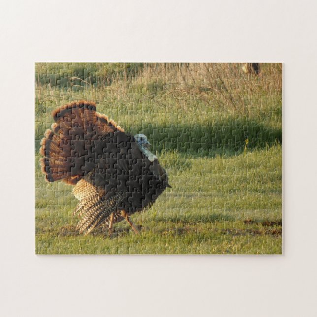 Puzzle mit kreativen Mustern (Horizontal)