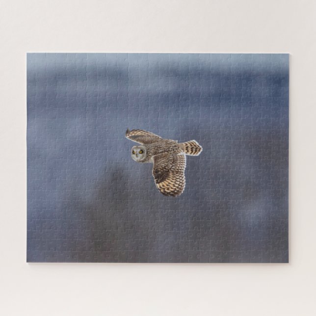 Puzzle mit kurzem Owl (Horizontal)