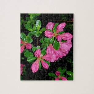 Puzzle mit rosa Blume nach Regen