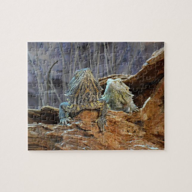Puzzle mit zwei seltsamen Eidechsen (Horizontal)