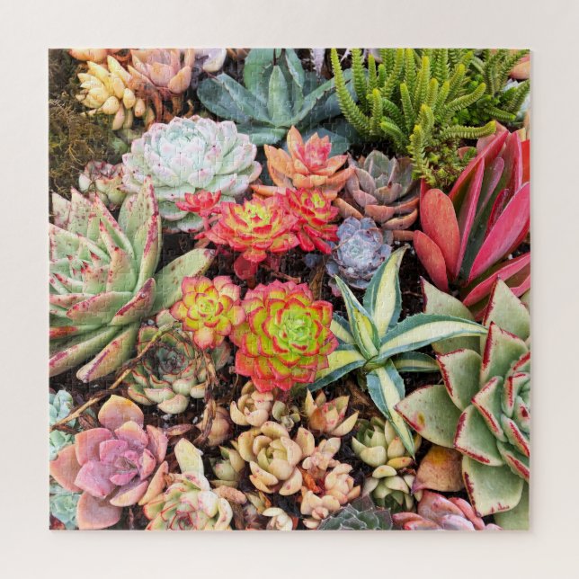 Puzzle MixPuzzle succulent rouge coloré (Vertical)