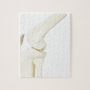 Puzzle Modèle d'articulation de genou de jambe humaine