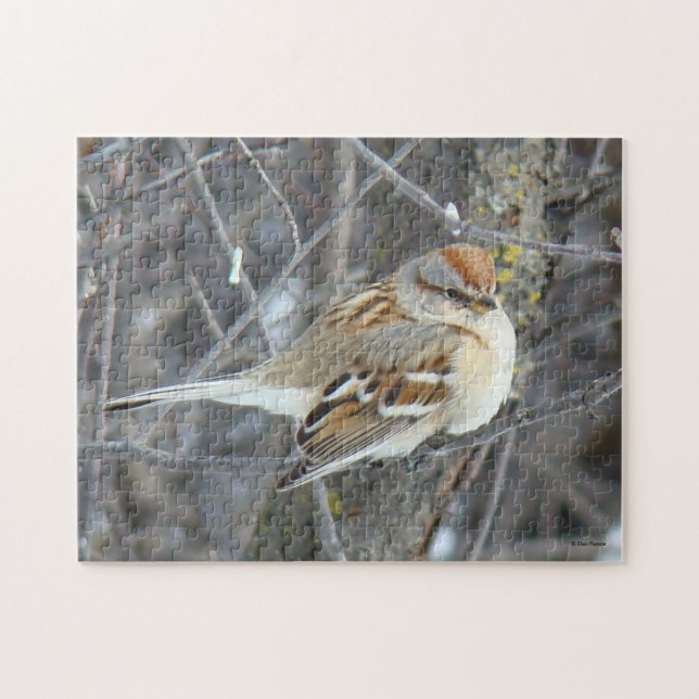 Puzzle Moineau domestique B24 (Horizontal)