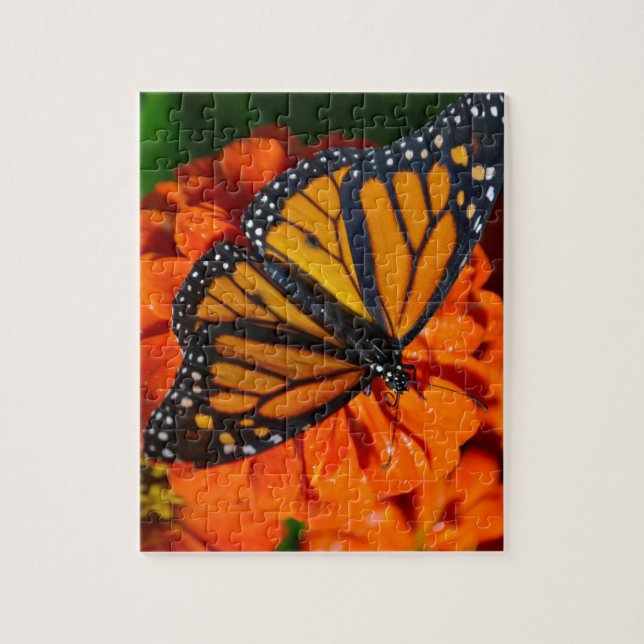 Puzzle Monarque (Vertical)