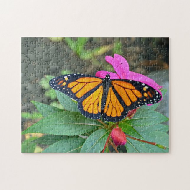 Puzzle Monarque Papillon rose floral photo (Horizontal)