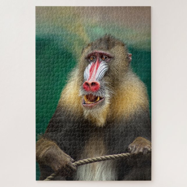 Puzzle Monkey (Vertical)