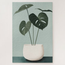 Monstera dans un pot blanc