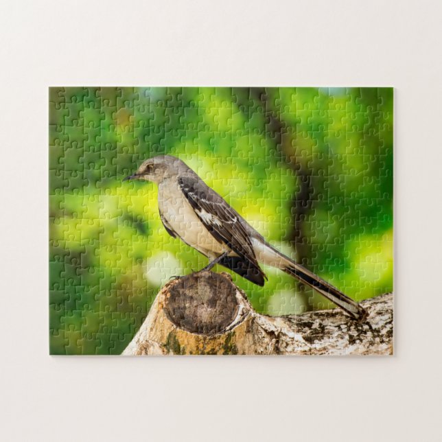 Puzzle Moqueur Floride. (Horizontal)