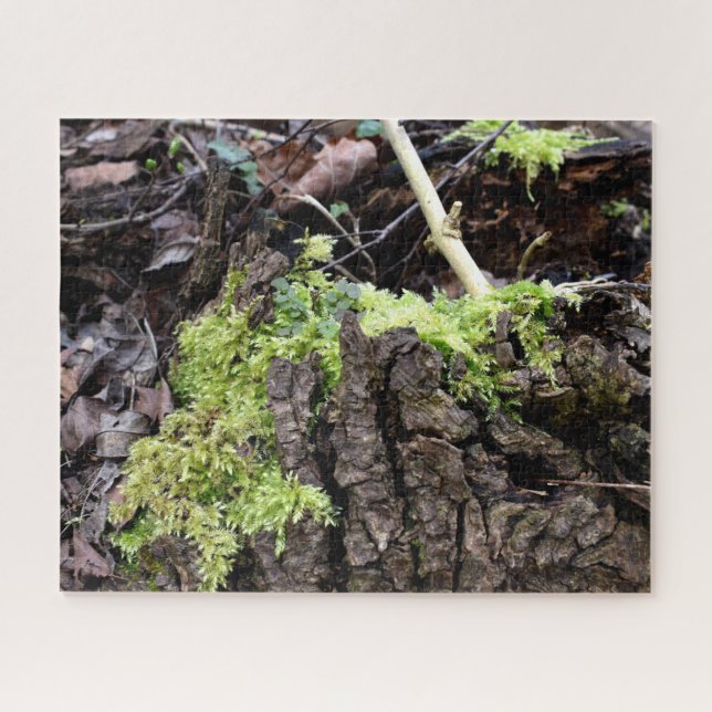 Puzzle Mosses (Horizontal)