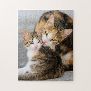 Puzzle Mother Cat Loves Cute Baby Kitten Animal Pet Photo