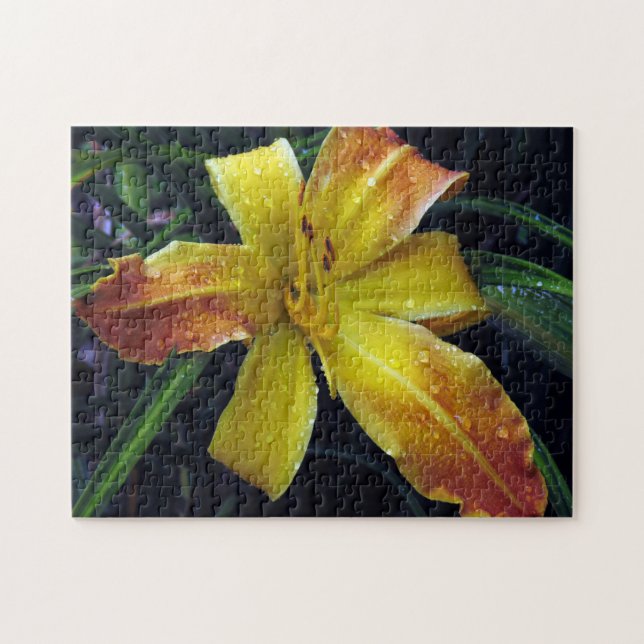 Puzzle motif créatif (Horizontal)