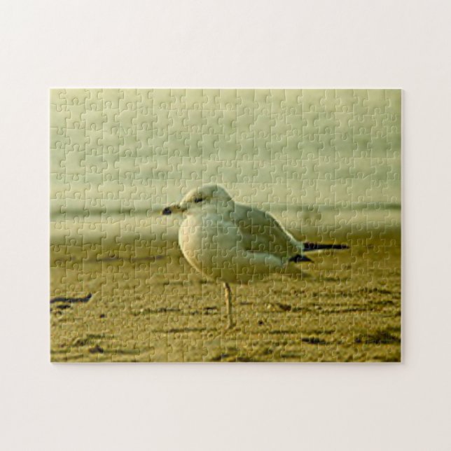 Puzzle - Mouette au coucher du soleil (Horizontal)