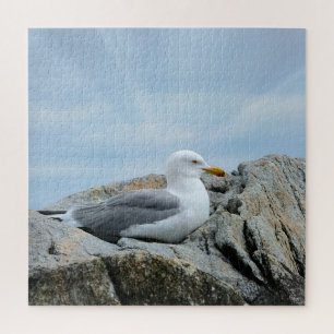 Puzzle Mouette En Bord De Mer