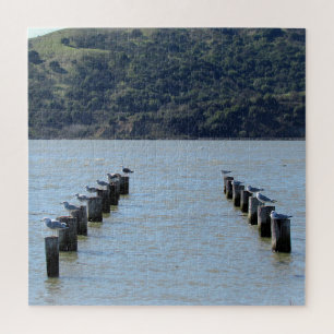 Puzzle - Mouettes sur Pilotage