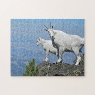 Puzzle Mountain Goats White Wildlife Photo