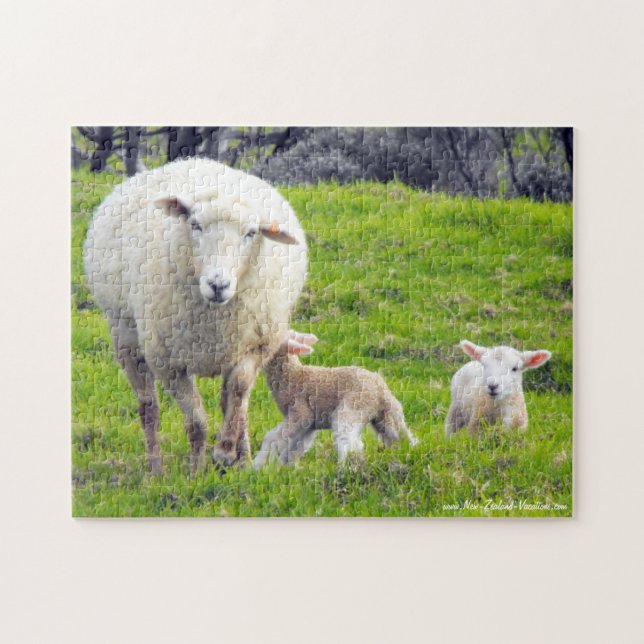 Puzzle Mouton avec agneaux jumeaux (Horizontal)
