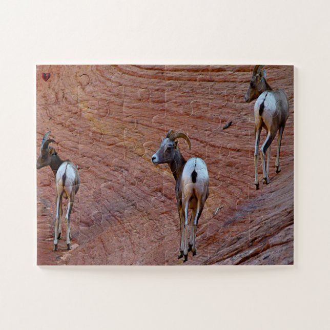 Puzzle Mouton de montagne Utah (Horizontal)