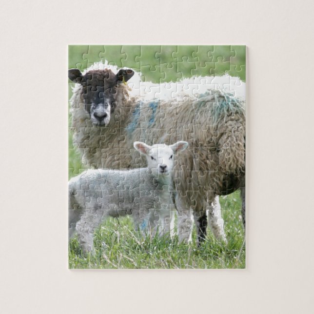 Puzzle Moutons avec son agneau (Vertical)