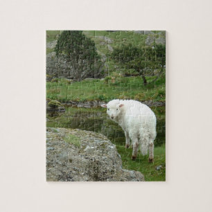 Puzzle Moutons blancs, Pays de Galles et randonnées à p