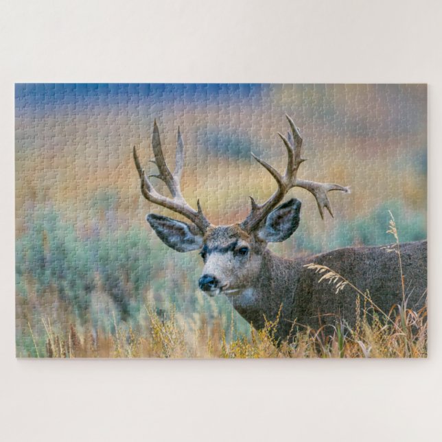 Puzzle Mule Deer Buck | Parc national du Grand Teton Wyom (Horizontal)