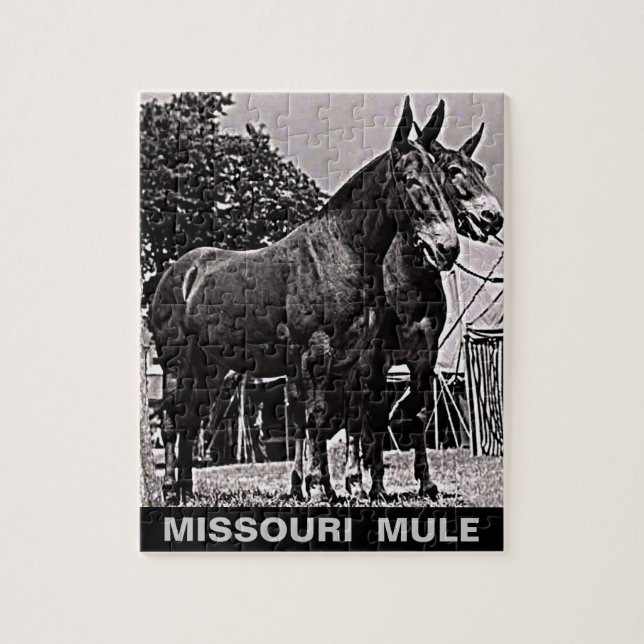 Puzzle Mule du Missouri (Vertical)