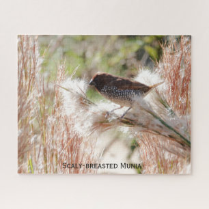 Puzzle Munia à poitrine épineuse ; Oiseaux