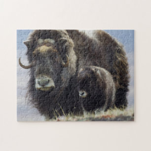 Puzzle Musk Ox with Calf