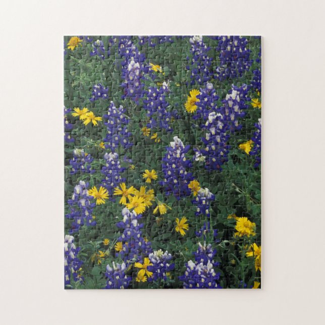 Puzzle N.A., États-Unis, Texas, Marble Falls, Blue Bonnet (Vertical)