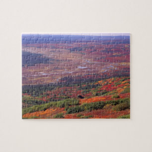 Puzzle NA, États-Unis, Alaska, Denali NP, Vue de McKinle