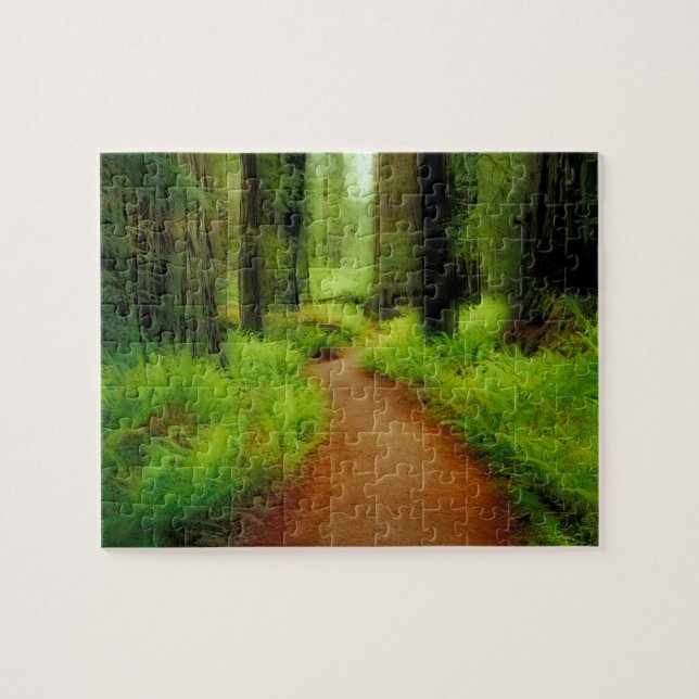 Puzzle NA, États-Unis, Californie, Jedediah Smith Redwood (Horizontal)