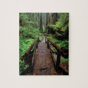 Puzzle NA, États-Unis, Californie, Jedidiah Smith Redwood