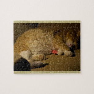 Puzzle Nap de chat