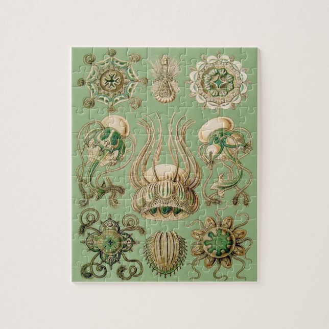 Puzzle Narcomedusae d'Ernst Haeckel (Vertical)