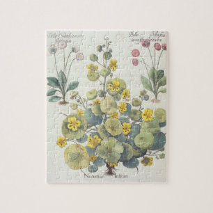 Puzzle Nasturces et marguerites : 1.Nasturtium Indicum ;