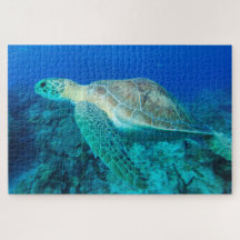 Natation de la tortue marine 20 po x 30 po
