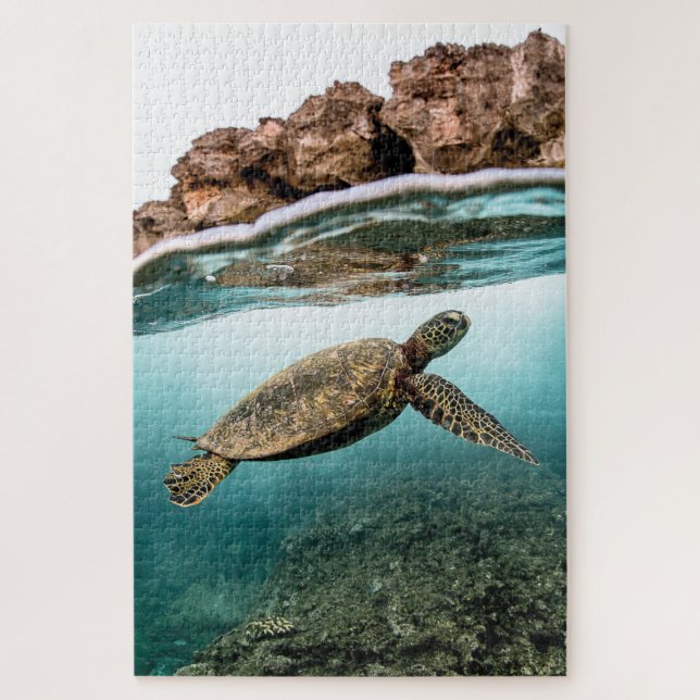 Puzzle Natation Tortue de mer et rochers (Vertical)