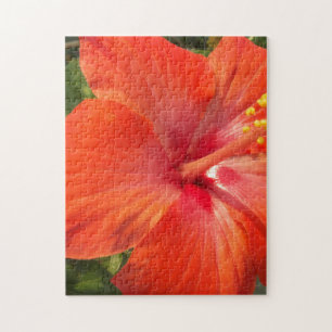 Puzzle nature, hibiscus, fleur, été, floral, tropical