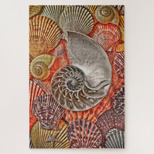 Puzzle Nautilus et coquillages