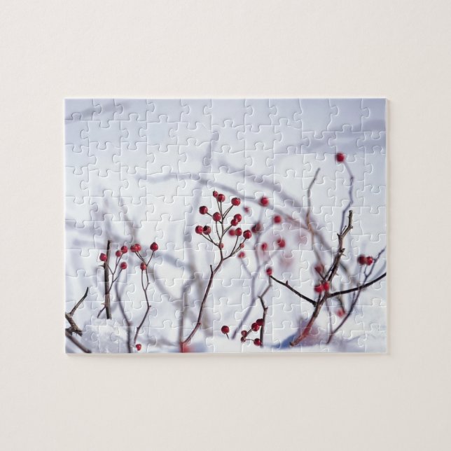 Puzzle Neige blanche des Berges rouges d'hiver (Horizontal)