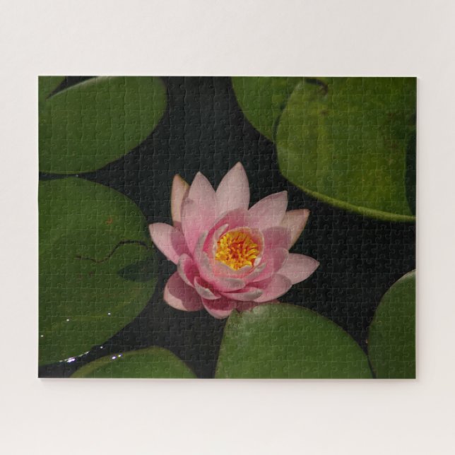 Puzzle Nénuphar rose (Horizontal)