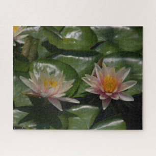 Puzzle Nénuphar rose
